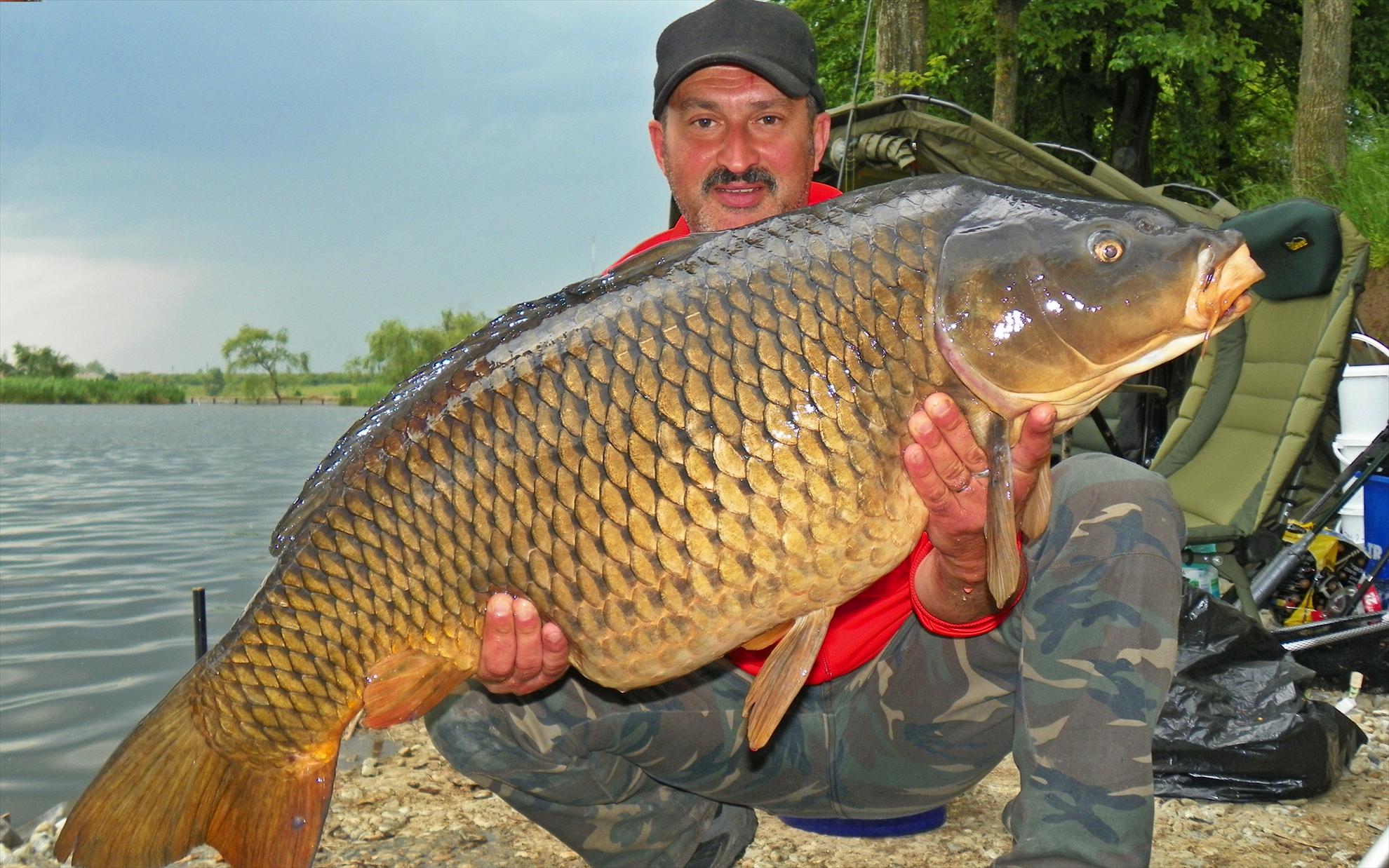 Crapmania (3) - 2011 - 1001643.JPG